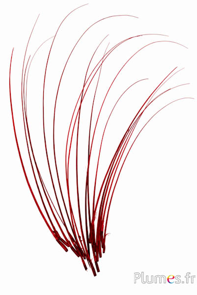 Struisvogel Rachis - 25-30 cm - karmijn